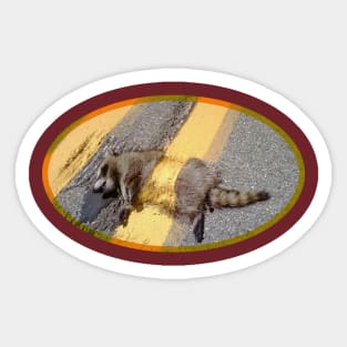 Painted Raccoon Sticker